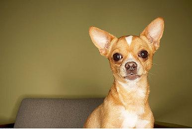 《漫威暗夜之子》8分钟前传动画首集上线